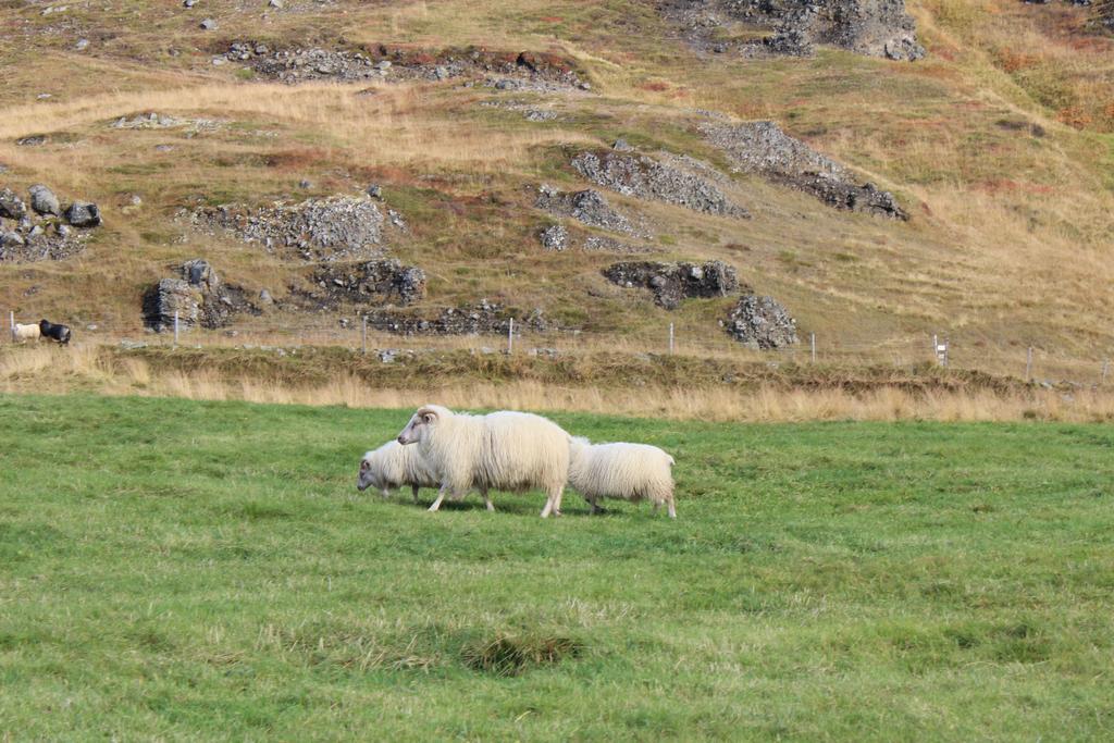 Hébergement de vacances Laxardalur Einarsstaðir